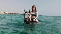 Spend Professional 2 Hours Horse Riding & Transfer From Hurghada