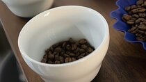 Private Roasting and Cupping Coffee Experience