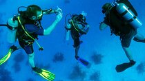 Scuba Diving Experience from Fethiye