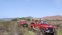 Jeep Tour of the Bodrum Peninsula from Bodrum