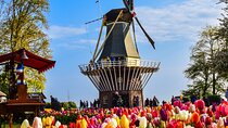 Private Tour Keukenhof Gardens + Tulperij Tulip Experience