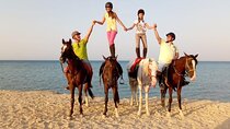 Enjoy Turkish Bath & Horse Ride - Sharm El Sheikh