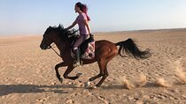 Horse Riding 1-Hour Adventure Trip With Transfer - Hurghada