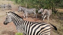 Half Day Accra Safari Private Tour