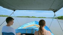 Monkey Island Boat Tour at Negombo Lagoon