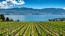Full-Day Private Okanagan Valley Wine Tour from Kelowna