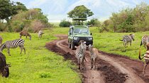 7 Days Safari Tour to Northern Tanzania National Parks