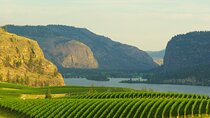 Half-Day Private Lake Country Wine Tour from Kelowna
