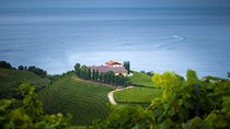 Full Day Private Tour with Txakoli Tasting in Sebastian & Getaria