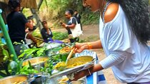 Healing Guided Nature Experience and Waterfall Brunch in Jamaica