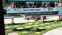 Black River Safari and Floyd Pelican Bar Tour from Montego Bay 