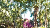 Majorelle Garden Experience: Ticket And Hassle-Free Transfers