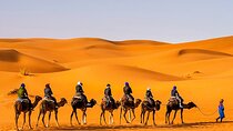 Agadir Inclusive Journey Through Atlas Mountains, Sahara Sands