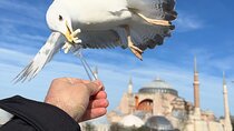 Multi 2 Days Private Guided Istanbul Iconic Landmarks City Tour