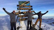 12 Days Tanzania Trip Kilimanjaro Lemosho Trek and Safari Combo