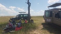 3 Days 2 Nights Masai Mara Road Transport Safari