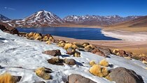 1-Day Tour Altiplanic Lagoons and Piedras Rojas and Laguna Chaxa