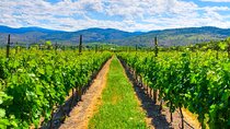 Full-Day Private Fraser Valley Wine Tour from Vancouver