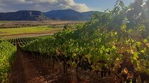 Full-Day Private Oliver & Osoyoos Wine Tour from Kelowna