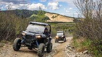 Explore the Denali Wilderness: Self Guided ATV Rental in Alaska!