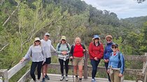 4 Day Mornington Peninsula Treks