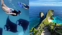 Nusa Penida Snorkeling 3 Point with Manta Bay & Land Tour