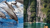 Bali Swim with Dolphins & Watching Sunrise, Gitgit Waterfall 