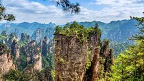 18-Day Classic China Tour: Xi'an-Chengdu-Zhangjiajie-Shanghai