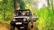 Private Mount Batur Sunrise 4WD Jeep Tour and Natural Hot Spring