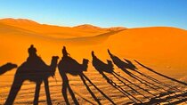 Merzouga Desert private 4 days Tour from Marrakech