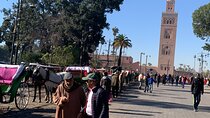 Marrakech City Tour With Private Local Driver 