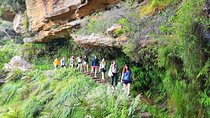 Blue Mountains Small Group Tour with Waterfall Walk & Fresh Lunch