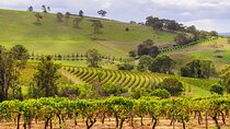 Full Day Private Hunter Valley Wine Tour from Sydney