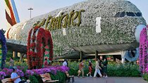 Dubai Miracle Garden 