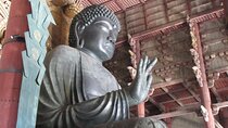 Nara ENGLISH GUIDE, Giant Buddha, Deer free in the park