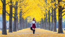 All Day Private Make your own plan tour to Nami Island and others