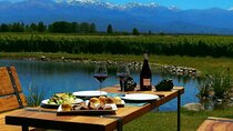 Mendoza full day Bodegas flavors of Maipú