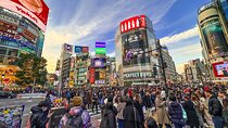 Private Full-day Tokyo Walking Subway Tour by Japan Gray Line