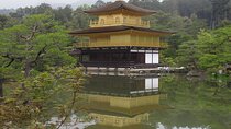 Kyoto ITALIAN GUIDE Golden Pagoda Bamboo Forest Dry Garden