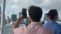 Miami Skyline Cruise of Millionaire Homes with Hotel Pick-up