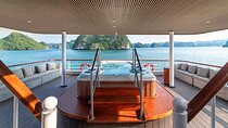 IRIS CRUISE - 5 Star Day Cruise - Halong Bay 1 Day - JACUZZI POOL