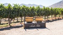 Premium Wine Tasting and Tour at Santa Rita + Private Transport