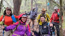 Kilimanjaro Northern Circuit Route 8 Days