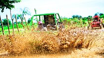 Buggy Tour to Macao Beach and Water Cave with Organic Farm