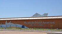 Grand Aquarium Discovery with Tickets & Transfer From Hurghada