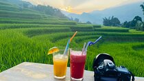 From Hà Nội ; Mu Cang Chai 3 Days 2 Nights By Car and Trekking 