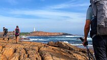 4-Day Cape to Cape Bespoke Walking Adventure