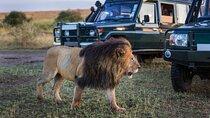 9 Days Safari in Tanzanias Majestic Parks