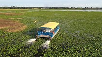 90 Minute Florida Everglades Boat Eco Tour