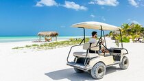Holbox Island Tour Golf Cart Ferry with Lunch and Transportation